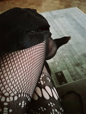 Dom TV sucht devotes Lustobjekt