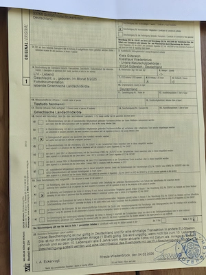 Griechische Landschildkröten Nachzucht 2025