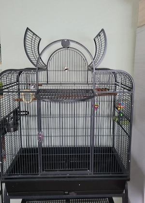 großer vogelkäfig