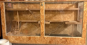 Hamster  Mäusekäfig