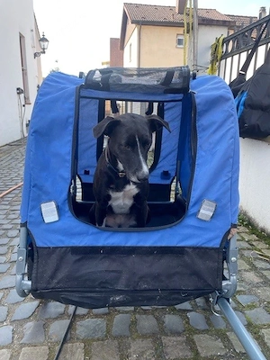 Fahrradanhänger für Hunde