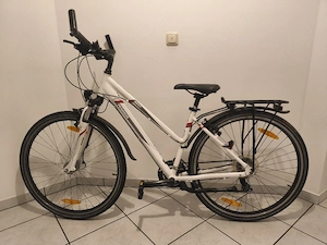 Pegasus Avanti 28 Zoll 21 Gänge Fahrrad Damen Mädchen 