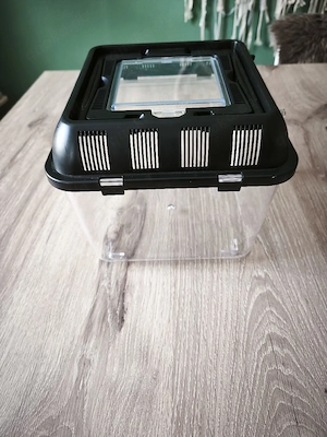Transportbox kleines Terrarium 