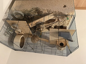 Hamster  mit ganzem Zubehör 