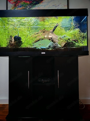 Aquarium Juwel Rio 180 l mit Unterschrank, viel Zubehör Süßwasser