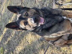 Nur in erfahrene Hände abzugeben 