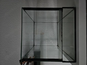   Terrarium für Spinnen oder ähnliches  