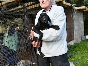 Black sucht sein Zuhause (noch auf Sardinien)