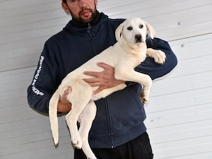 Canada sucht ihr Zuhause (noch auf Sardinien) Bild 2