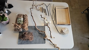 Wellensittich Vogel Sitzgelegenheit Bastelware