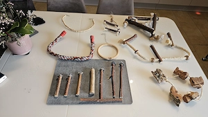 Wellensittich Vogel Sitzgelegenheit