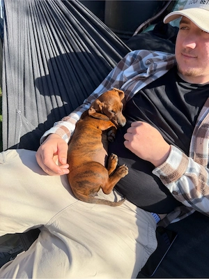 Wunderschöne Merle-Dackelwelpen