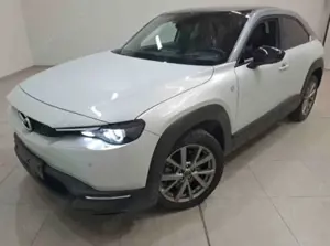 Mazda MX-30 R-EV Makoto Bose, Matrix, 360°, Schiebedach