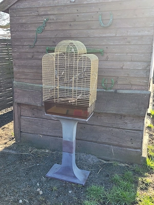 Vogelkäfig,  Voliere 