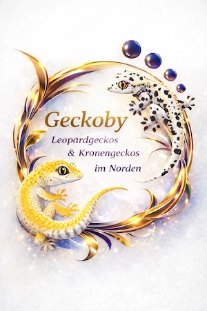 Leopardgeckos & Kronengeckos versand möglich!