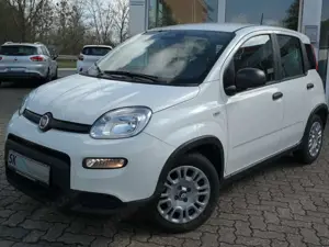 Fiat Panda Pandina Cross*2.Hand*erst 4900km*MILD HYBRID*PDC