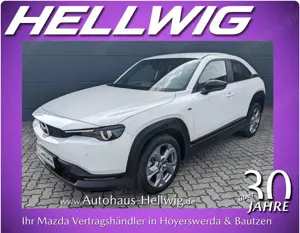Mazda MX-30 e-SKYACTIV EV Navi MRCC Voll-LED