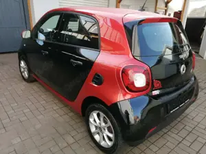 smart forFour Basis 66 kW  Klimautomatik+Sitzheizung+Tempomat