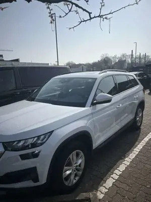 Skoda Kodiaq Bild 3