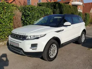 Land Rover Range Rover Evoque Evoque 2.2 Td4 1.Hd Automatik