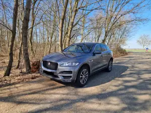 Jaguar F-Pace Bild 5