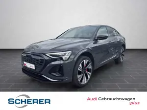 Audi Q8 Sportback 55 e-tron edition S line MATRIX PAN