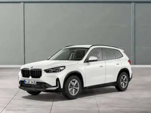 BMW X1 sDrive20i Dig.Cockpit LED AHK Shz. Tempom.