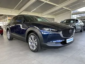 Mazda CX-30 2.5 Exclusive AUTOMATIK Matrix, 360°, Bose, 18", N