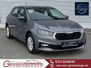 Skoda Fabia Selection 1.0 TSI 116 PS DSG WINTERPAKET