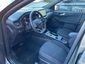 Ford Kuga Bild 2