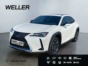Lexus UX 250h Executive Line *HUD*Leder*GSD*el. Sitze*