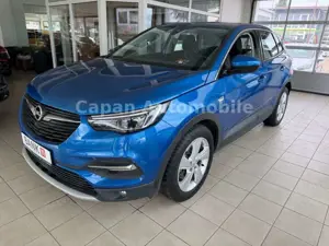 Opel Grandland X Bild 4