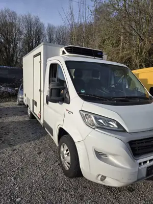 Fiat Ducato Maxi L2H2