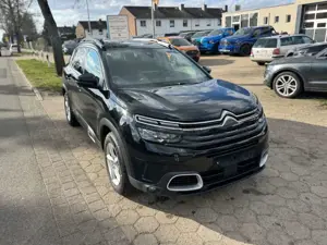 Citroen C5 Aircross Feel 1.5 HDi Auto *360°+Elek.Heck* Bild 3