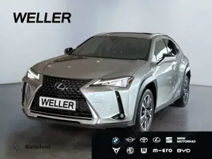 Lexus UX 250h Style Edition *Bi-LED*ACC*CAM*SHZ*WKR*CarPlay*