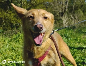 DOLLY,  die Vergessene mit dem großen Herzen Bild 7