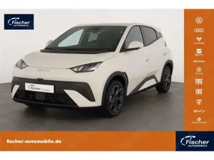 BYD Dolphin Comfort LP: 32.449,- /Top-View/SHZ/DAB