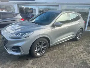 Ford Kuga ST-Line ACC Rfk AHK HuD