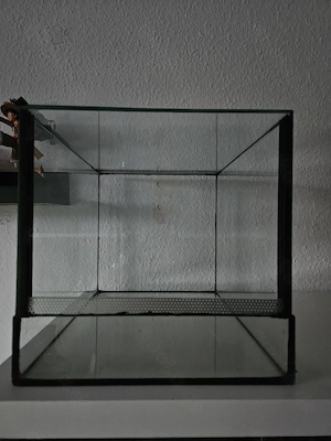   Terrarium für Spinnen oder ähnliches  