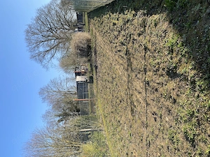  Naturkleingarten zu verpachten   245 m  zum Gärtnern & Entspannen in Niddatal Bönstadt