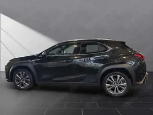 Lexus UX 250h 250 h F-Sport Design Allwetter