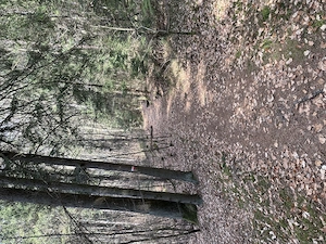 Suche Dich, männlich um die 60 Jahre