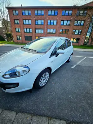 Fiat Punto Evo 77 PS- TÜV 2027 SEPTEMBER