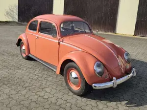 Volkswagen Käfer Ovali