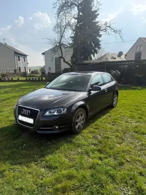 Audi A3 Audi A3 1.2 TFSI – gepflegt, zuverlässig