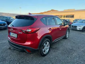 Mazda CX-5 Sports-Line AWD Bild 5