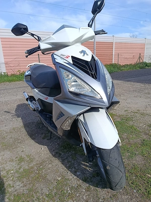   Roller 50ccm  Peugeot Speedfight 3   Bild 2