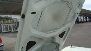 Ford Fairlane Bild 4