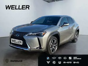 Lexus UX 250h Style Edition *Bi-LED*ACC*CAM*SHZ*CarPlay*