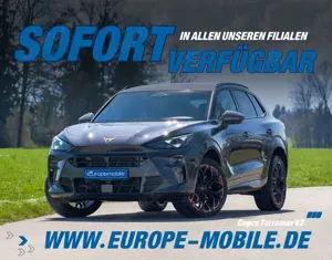 CUPRA Terramar VZ 2.0 TSI 195kW DSG 4Drive (Vorlauf) PANO/NAV/...